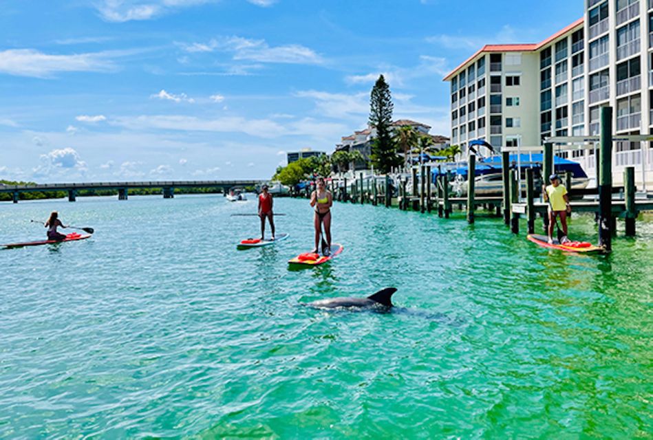 Fort Myers: Guided Standup Paddleboarding or Kayaking Tour - What to Bring