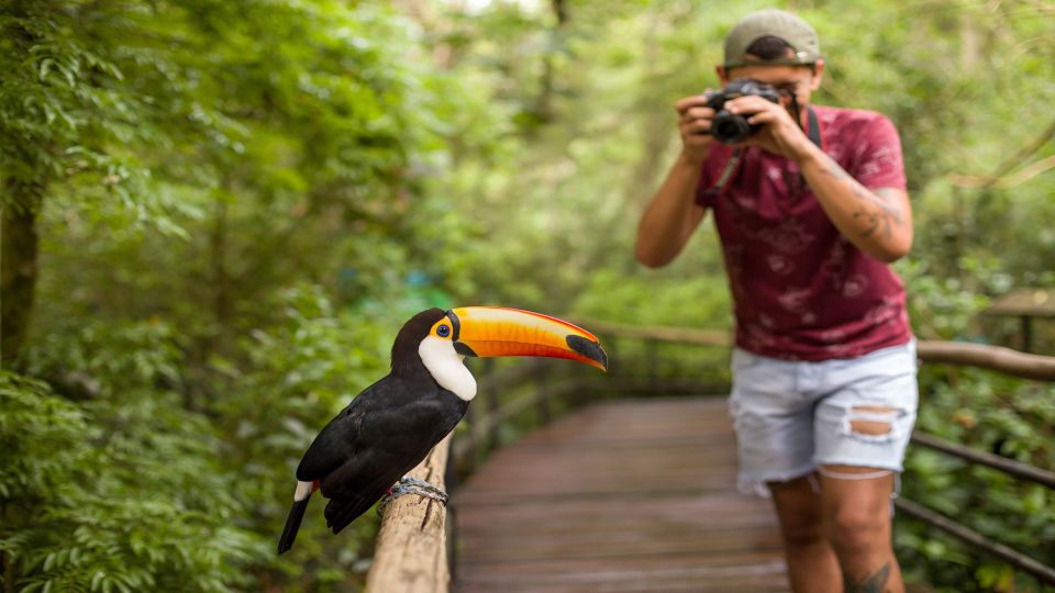 Foz Do Iguaçu: Brazilian Side of the Falls Bird Park - Visitor Tips and Recommendations