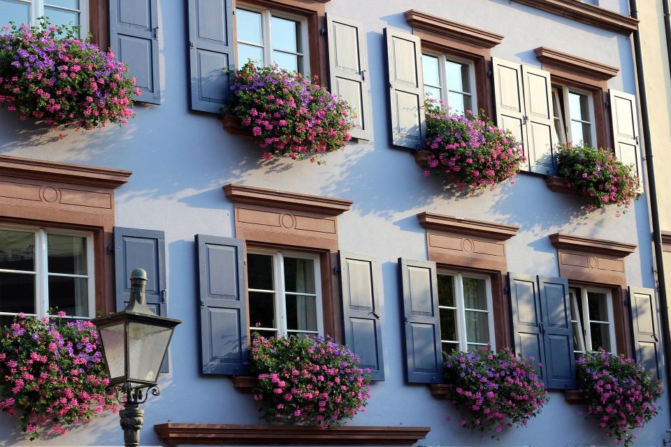 Freiburg: Private Architecture Tour With a Local Expert - Classic and Contemporary Designs