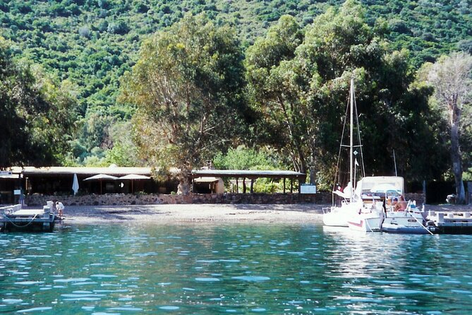 Friendly Discovery of Scandola Calanques De Piana and Meal Stop at Girolata - Accessibility Features
