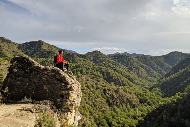 Frigiliana Small-Group Hike and Wine Tasting Tour From Malaga - Customer Reviews Highlights