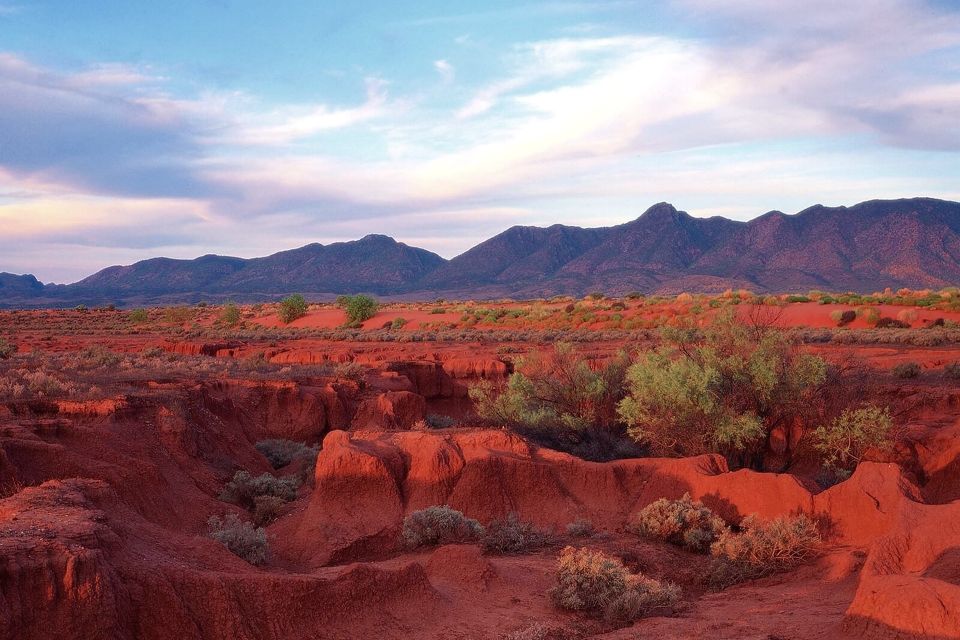 From Adelaide: 3-Day Flinders Ranges Small Group Eco Safari - Pricing Information