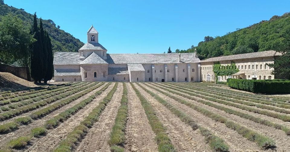 From Aix-en-Provence: Luberon Park Lavender Season Tour - Villages to Explore