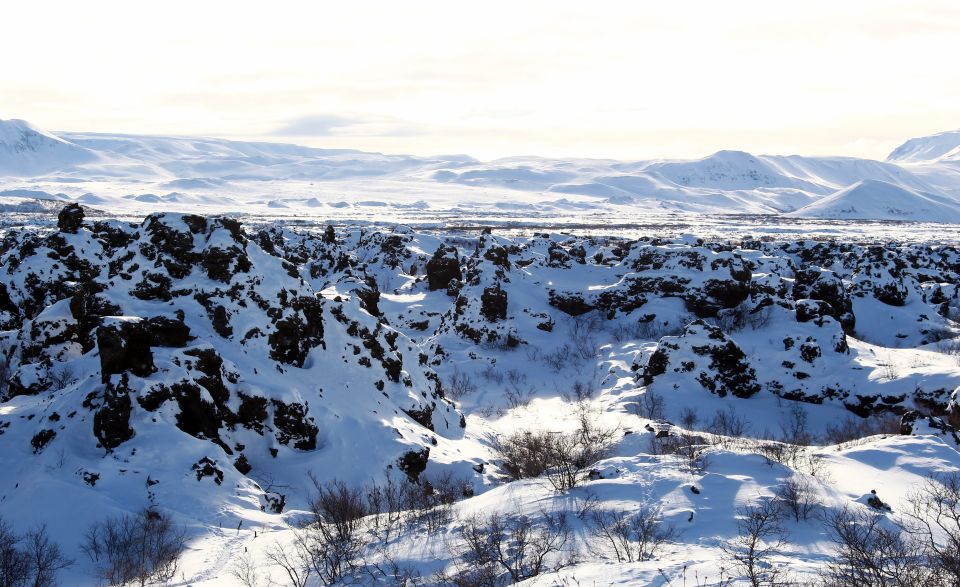 From Akureyri: Lake Mývatn Day Trip With Local Guide - Food and Amenities