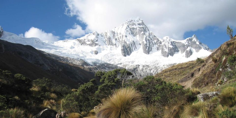 From Ancash: Trekking Alpamayo Cedars |9Days-8Nights| - Descent to Hualcayan