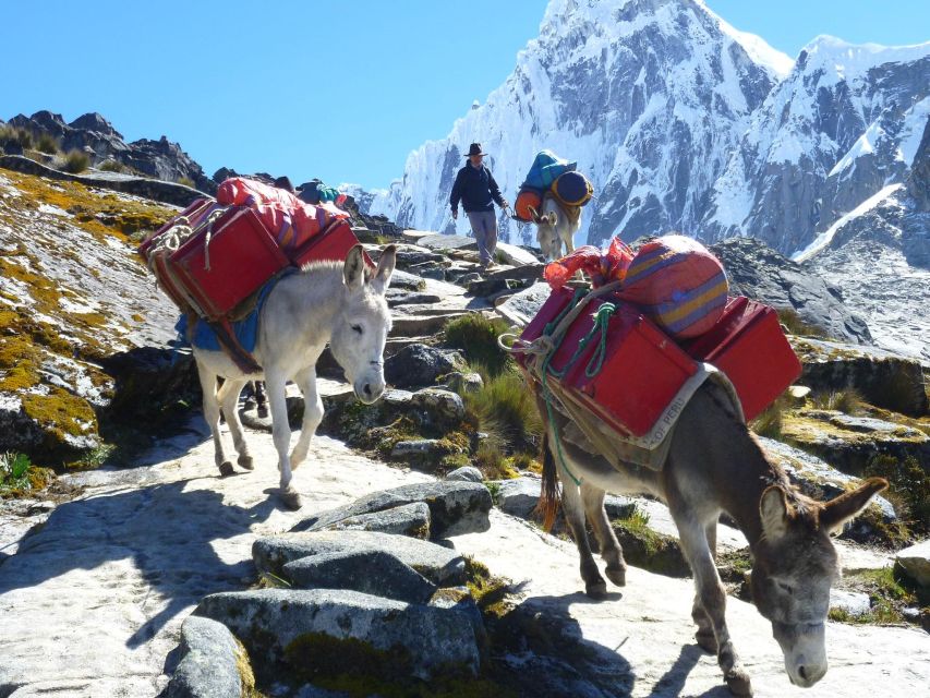 From Ancash: Trekking Santa Cruz Alpamayo |11Days-10Nights| - Payment Options