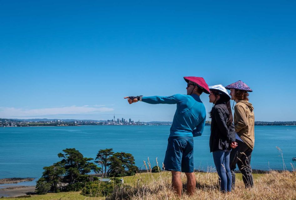 From Auckland: Browns Island Motukorea Sea Kayak Tour - Description