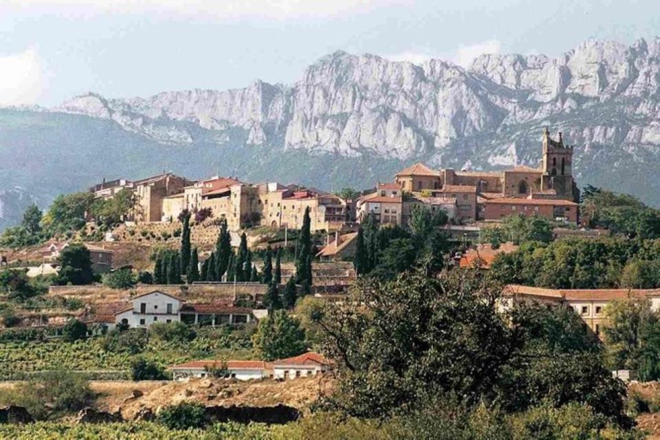 From Bilbao: Two Rioja Wineries Day Trip With Picnic Lunch - Tour Guide and Experience