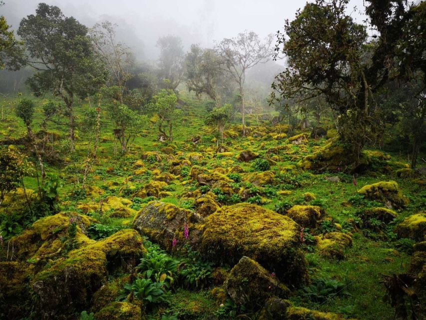 From Bogota: Hike to Colombia's Highest Waterfall - Meal Inclusions