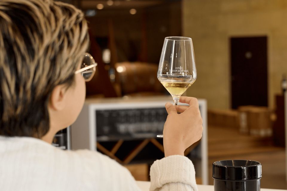 From Bordeaux: Private Wine Tour to Saint-Émilion - Inclusions