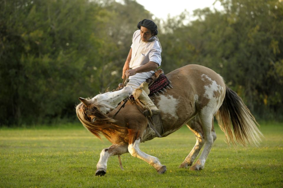 From Buenos Aires: San Antonio De Areco Day Tour - Exploring San Antonio De Areco