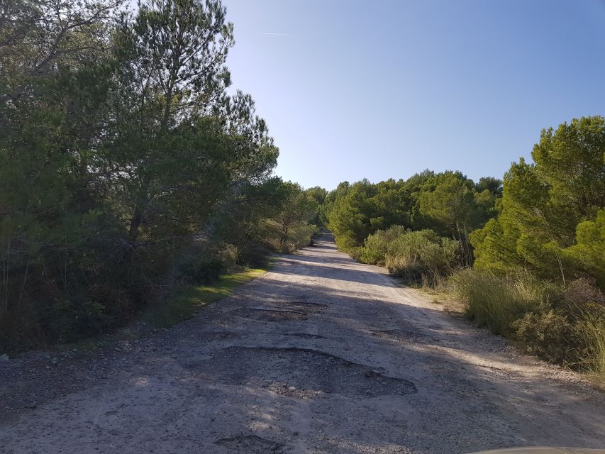 From Cala Millor/Sa Coma: Half-Day Mini Jeep Tour - Driving Requirements