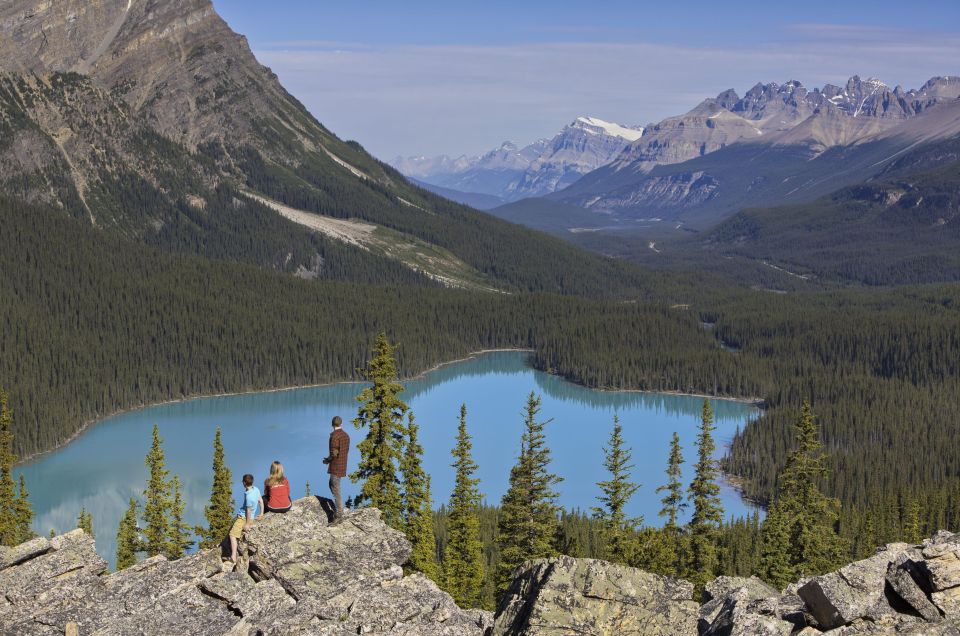 From Calgary/Banff: Columbia Icefield Day Trip - Peyto Lake Exploration