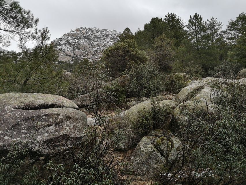 From Centro: Guadarrama National Park Private Tour - Experience and Activities