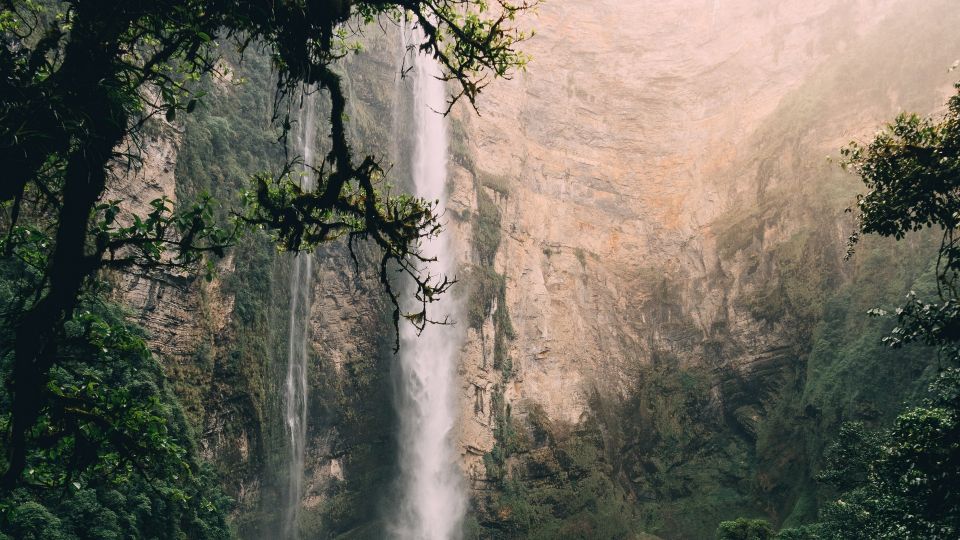 From Chachapoyas: Gocta Waterfall Full-Day Hiking Tour - Local Flora and Fauna