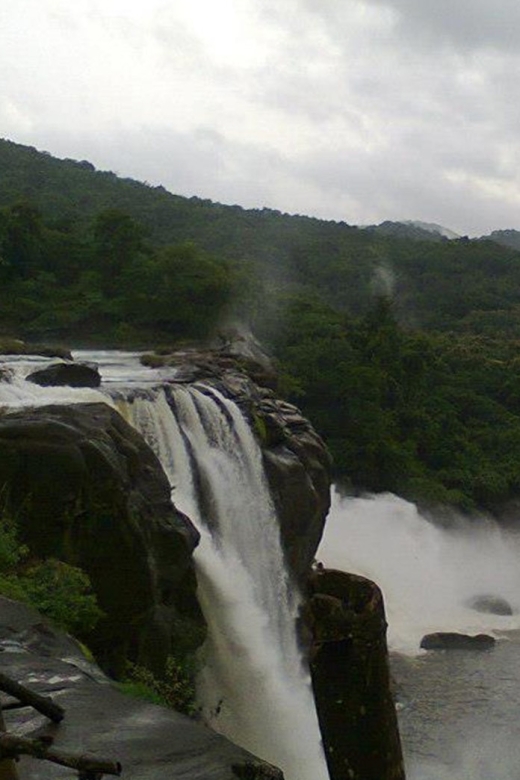 From Cochin: Athirappilly Waterfall Excursion With Lunch - Customer Feedback and Ratings