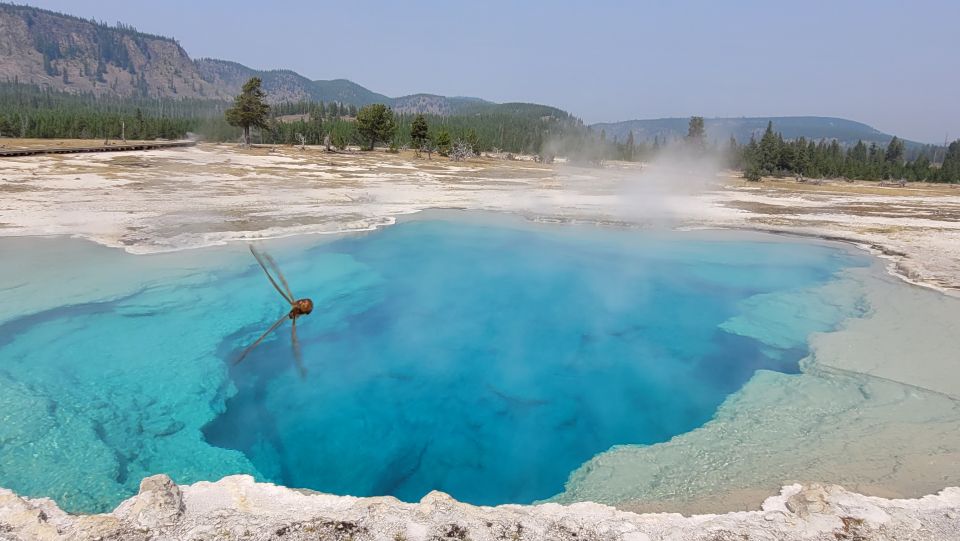 From Cody: Full-Day Yellowstone National Park Tour - Important Information