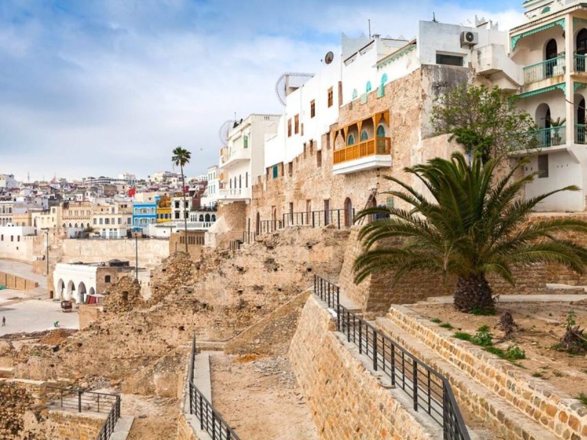 From Costa Del Sol: Discover Tangier on a Guided Day Trip - Local Guides Tour