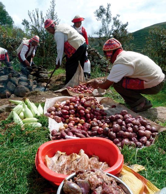 From Cusco: Andean Knowledge + Pachamanca - Participant Guidelines and Restrictions