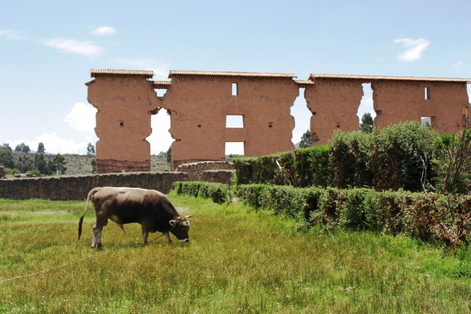 From Cusco: Cusco to Puno Shuttle & Guided Tour W/Box Lunch - Important Information