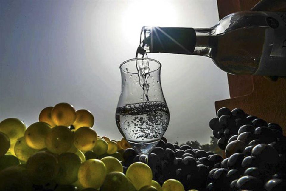 From Cusco: Delight Your Palate With a Delicious Pisco Tour - Important Tour Information