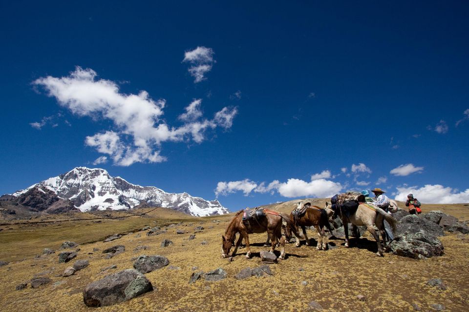 From Cuzco: Full-Day Ausangate Trek - Panoramic Andes Views