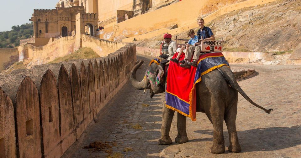 From Delhi: 7-Day Golden Triangle Trip & Ranthambore Safari - Inclusions and Exclusions