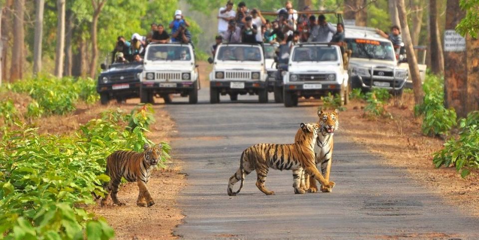 From Delhi: Jim Corbett National Park Tour by Car - Day 1 Activities