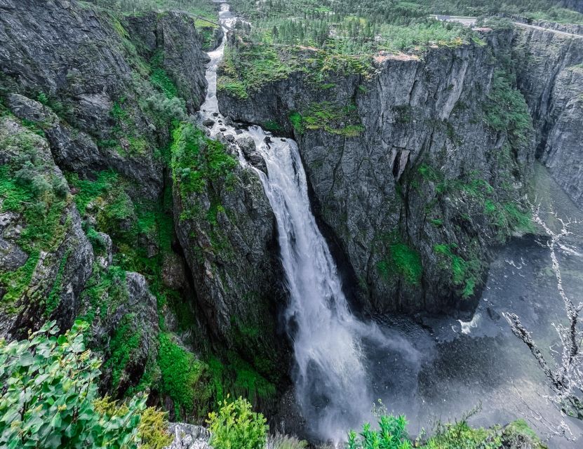 From Eidfjord: Vøringfossen Waterfall Nature Tour With Guide - Important Information