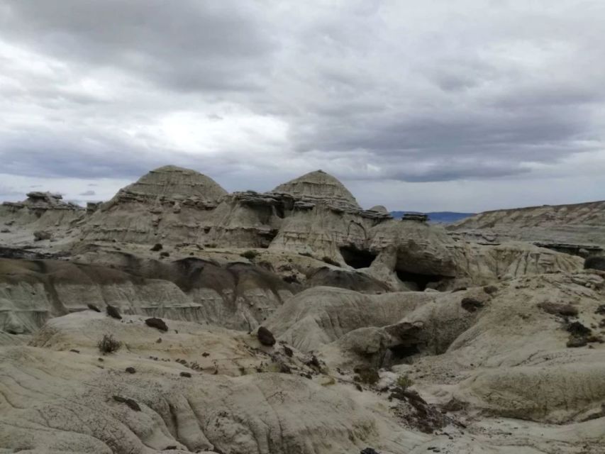 From El Calafate: La Leona Petrified Forest Day Trip - Hiking in the Petrified Forest