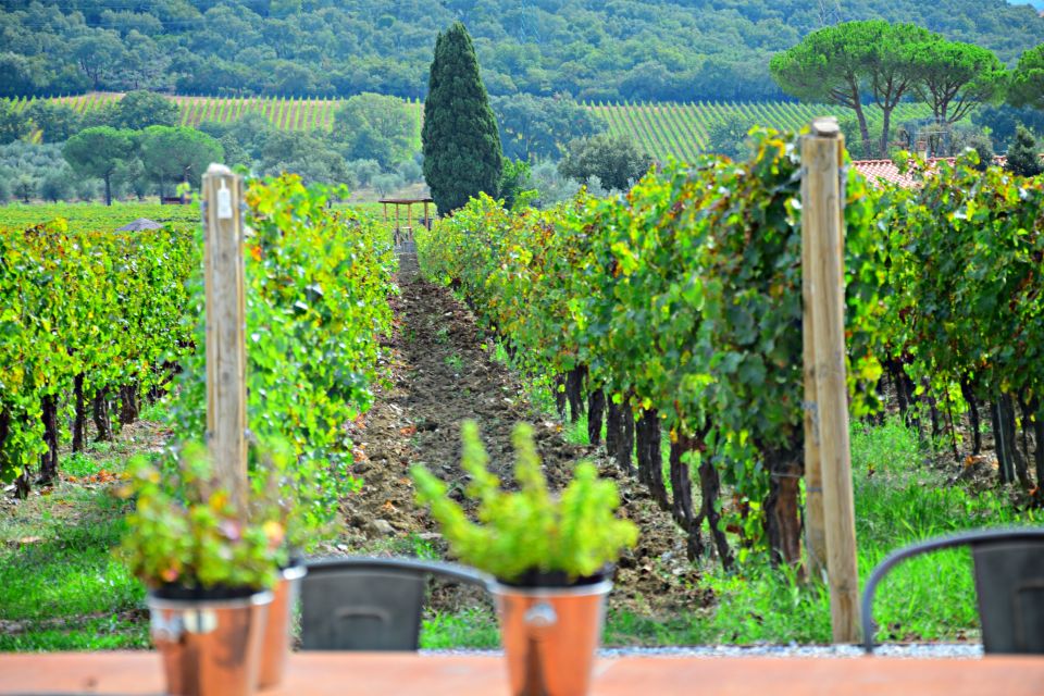 From Florence: Maremma Private Wine Tour and Suvereto - Discover Suveretos Medieval Village