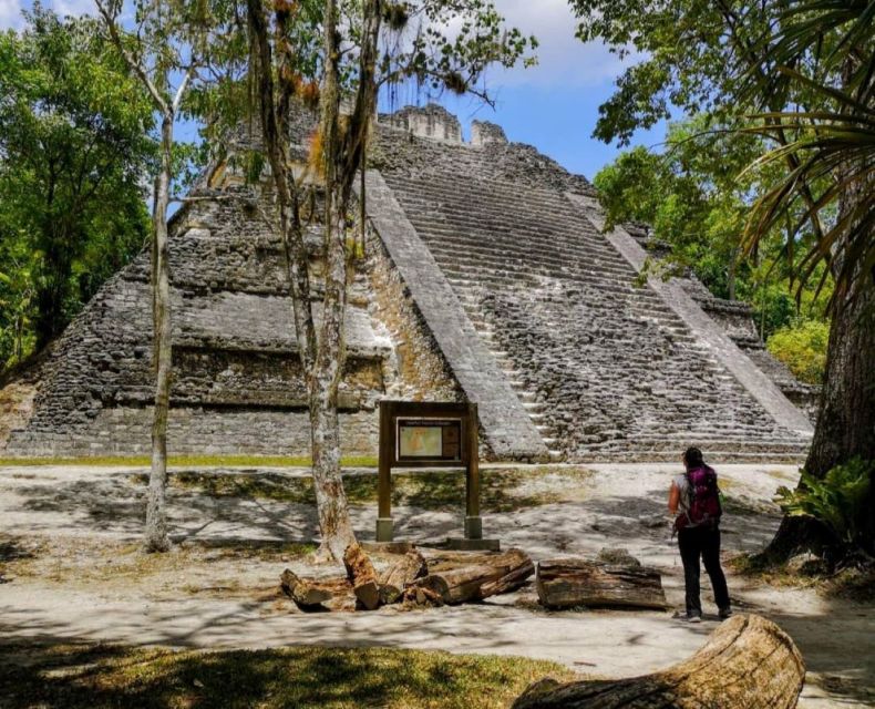 From Flores: Tikal National Park Private Day Trip With Lunch - Tips for Visiting Tikal