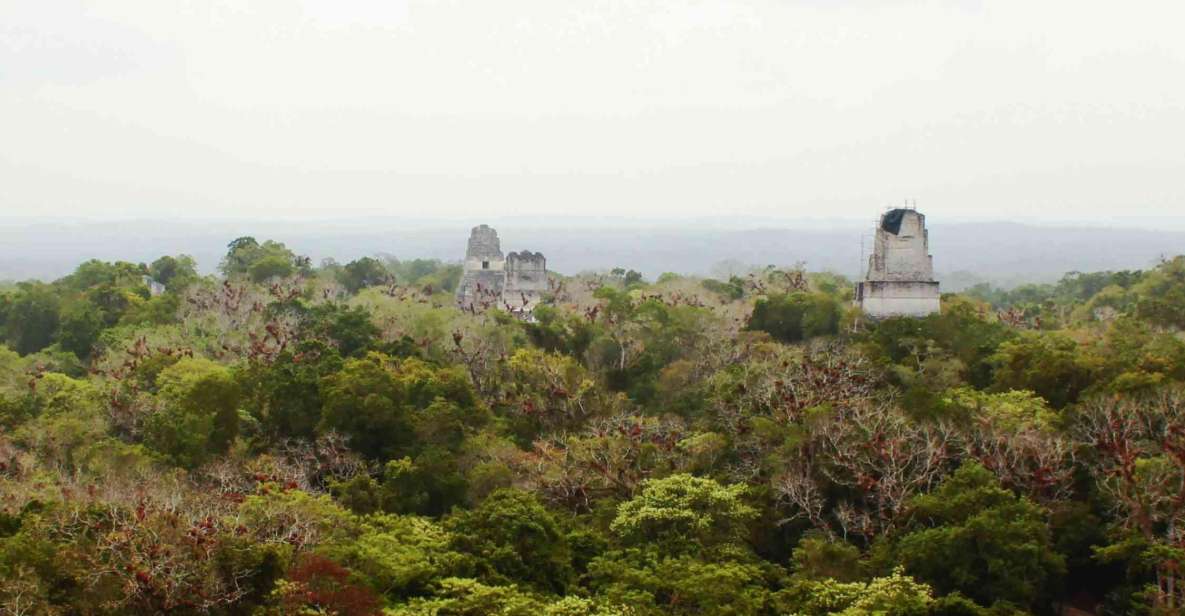 From Flores: Tikal Sunset Tour - Tikal: A Historical Perspective