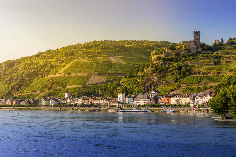 From Frankfurt: Rhine Valley Day Trip - Customer Experience and Feedback