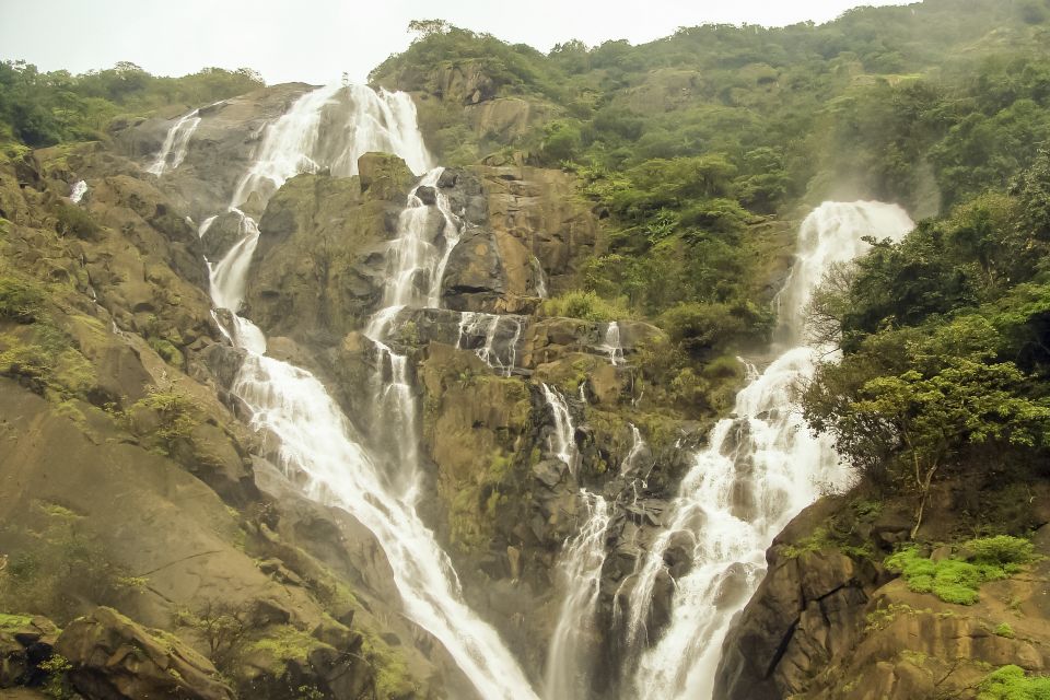 From Goa: Dudhsagar Waterfalls & Plantation Tour - Accessibility Information