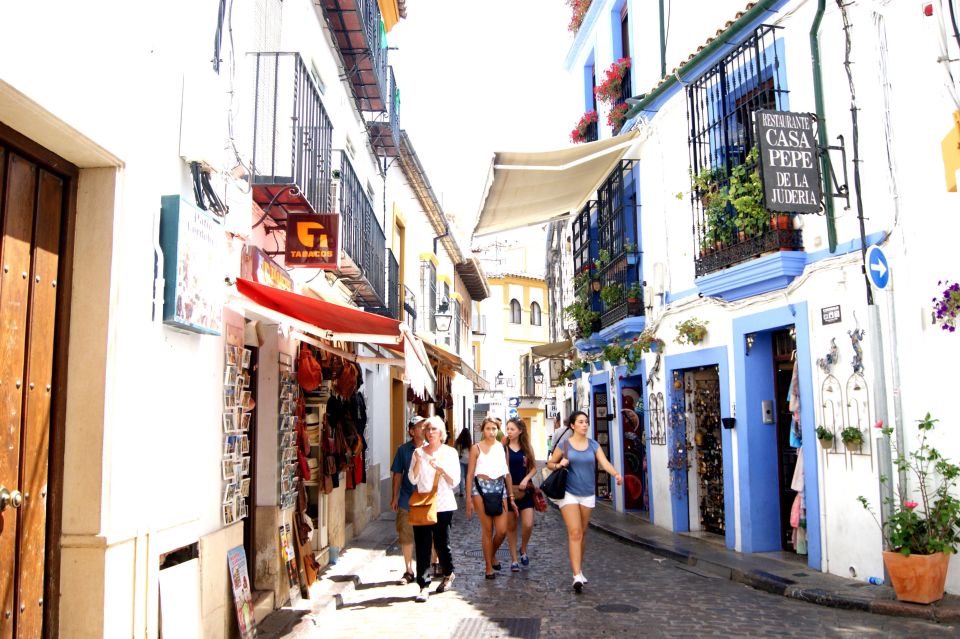 From Granada: Cordoba and Mezquita Full Day Tour - Meeting Point and What to Bring