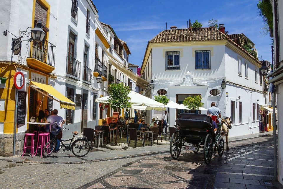 From Granada: Private Córdoba Tour and Skip-the-Line Tickets - Accessibility and Additional Details