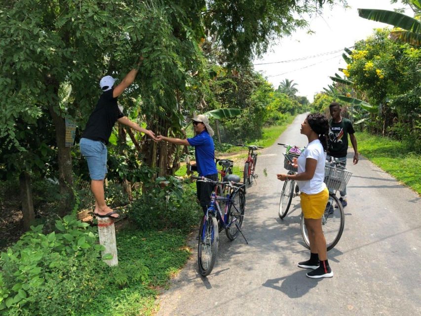 From Ho Chi Minh: Non-Touristy Mekong Delta With Biking - Transportation and Inclusions