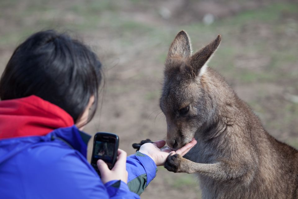 From Hobart: Mt. Field, Mt. Wellington and Wildlife Day Tour - Inclusions