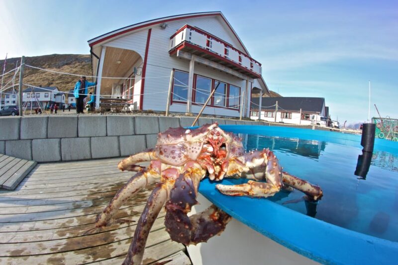 From Honningsvåg: North Cape and King Crabs Tour - Meeting Point Details