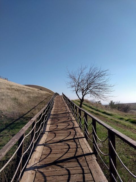 From Istanbul: Gobeklitepe Daily Tour - Booking Details