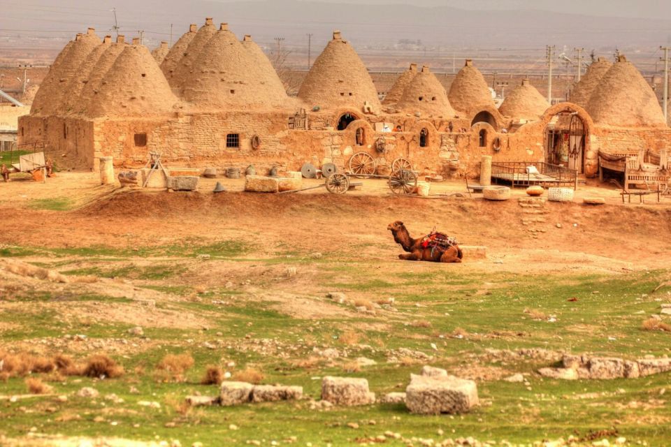 From Istanbul: Gobeklitepe Day Tour - Sanliurfa Experience