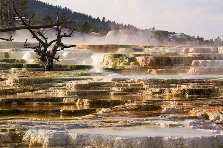 From Jackson: 2-Day Grand Teton and Yellowstone Tour - Tour Highlights