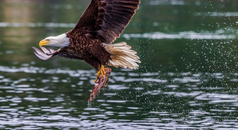 From Jackson Hole: Snake River Float With Scenic Teton Views - Booking Information