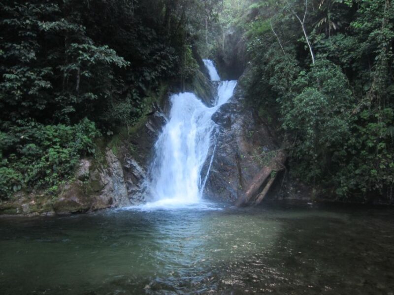 From Junín: San Andrés Full-Day Tour - Customer Reviews