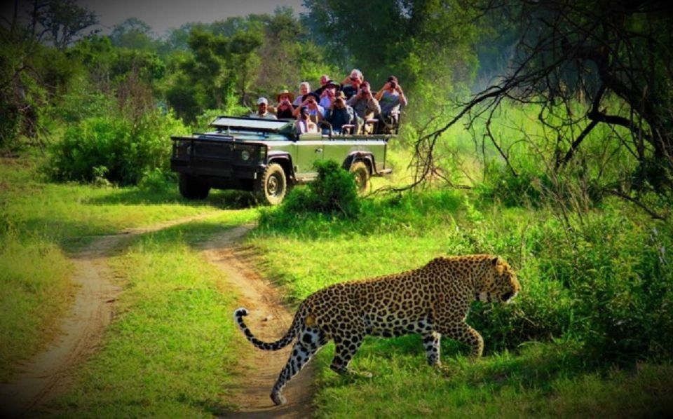 From Kathmandu: Guided 3-Days Bardia National Park Tour - Transportation Details