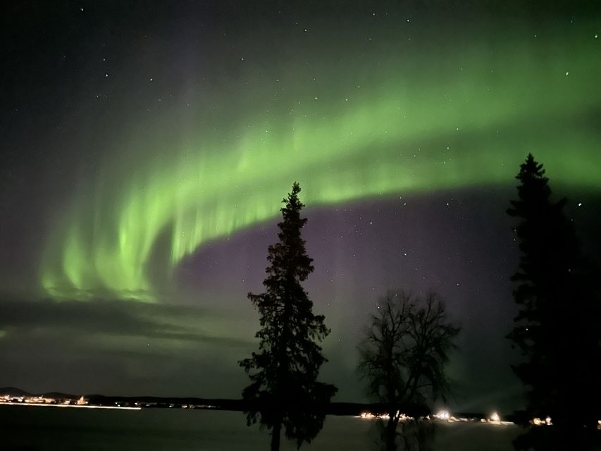 From Kiruna: Abisko National Park Northern Lights Tour - Important Tour Information
