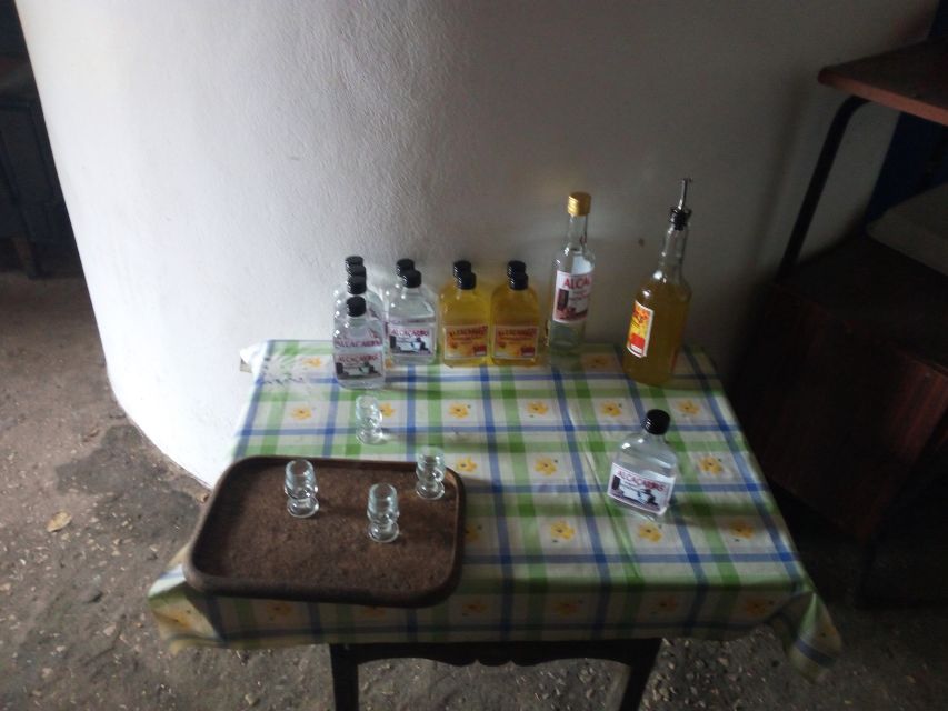 From Lagos: Monchique Guided Forest Walk W/Medronho Tasting - Cancellation Policy