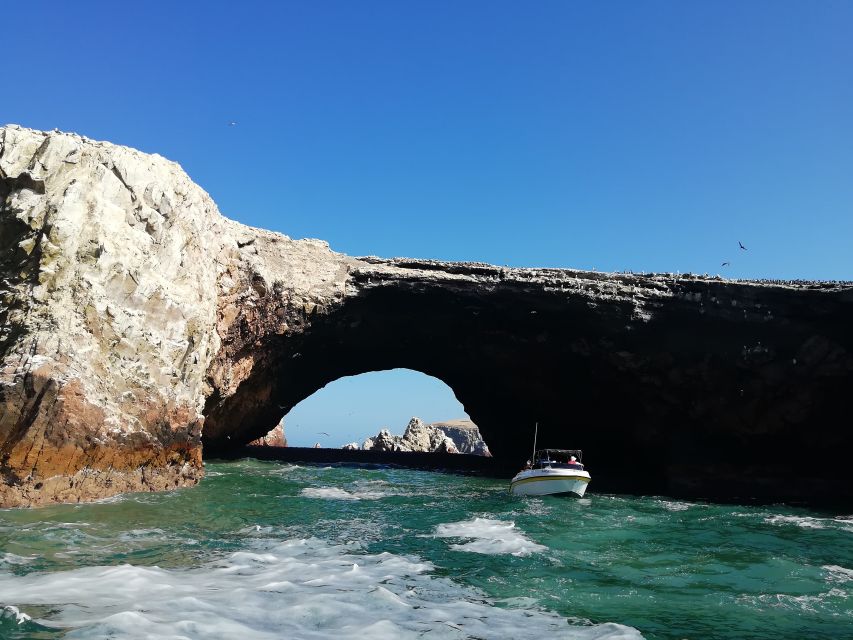 From Lima: Ballestas Islands & Paracas Reserve With Meals - Ballestas Islands Exploration