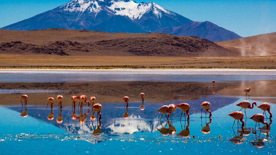 From Lima-Peru: Salar De Uyuni 4 Days 3 Nights - Safety Considerations